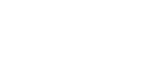 Bribble