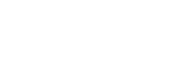 BWDisrupt